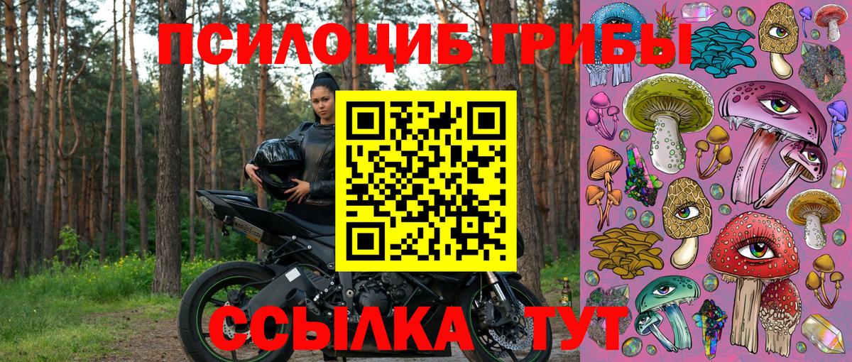 Галлюциногенные грибы Magic Shrooms Братск